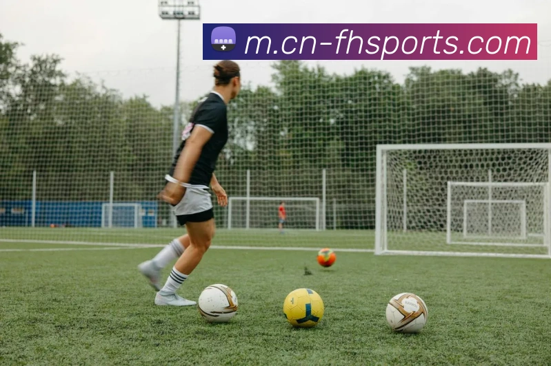 体育下注平台生态图